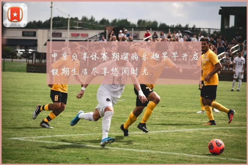 申京分享休赛期遛狗乐趣早早开启假期生活尽享悠闲时光
