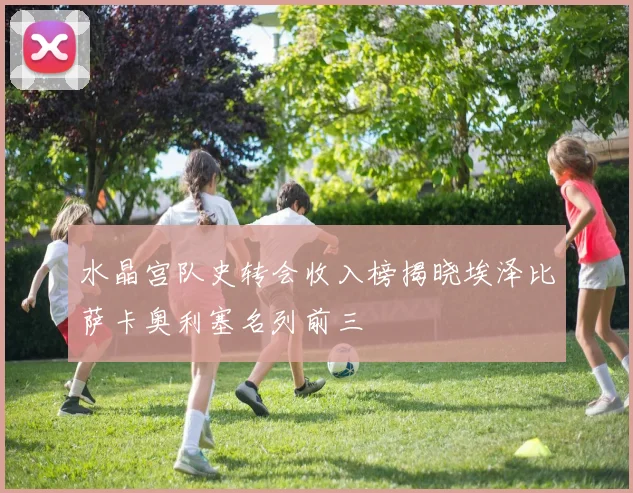 水晶宫队史转会收入榜揭晓埃泽比萨卡奥利塞名列前三