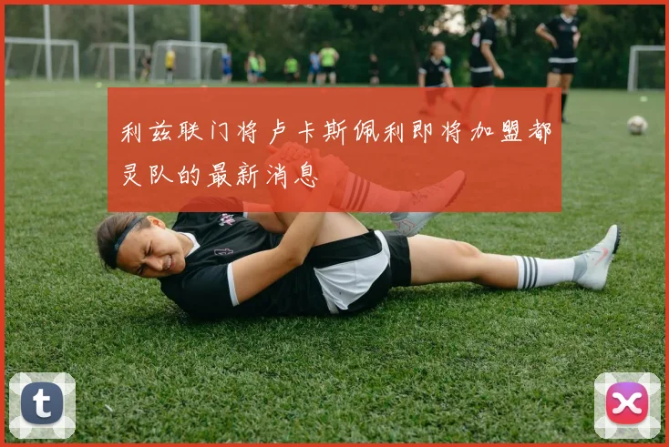利兹联门将卢卡斯佩利即将加盟都灵队的最新消息