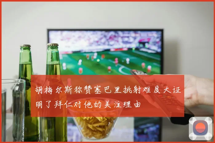 胡梅尔斯称赞塞巴里挑射难度大证明了拜仁对他的关注理由